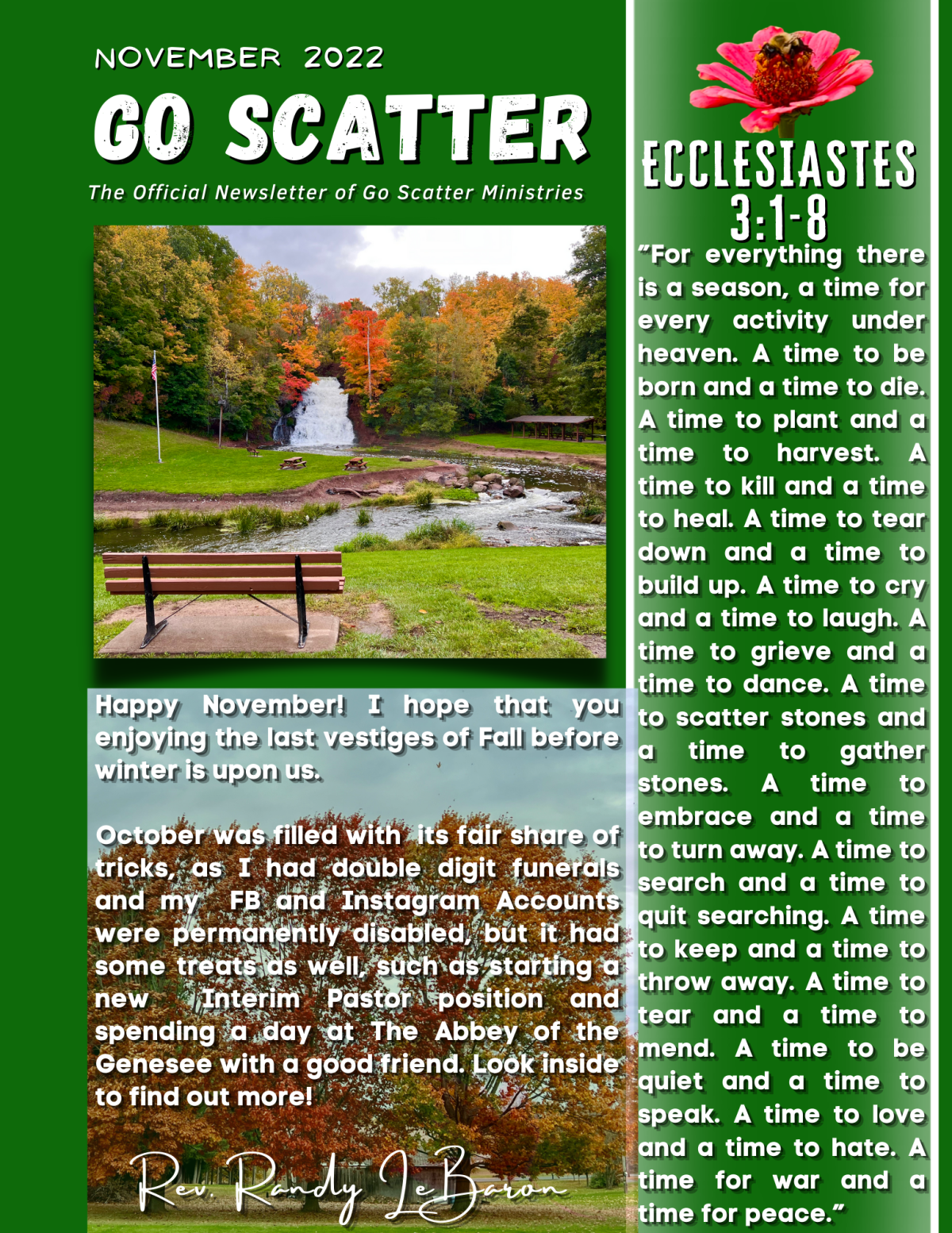 “GO Scatter!” Newsletter – November 2022